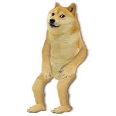 Sitting Doge