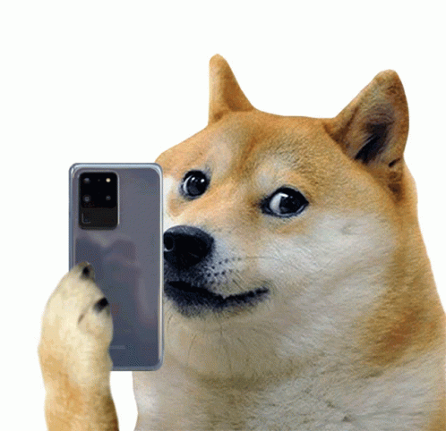 Doge OG